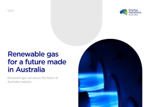 ENA Gas paper - cover