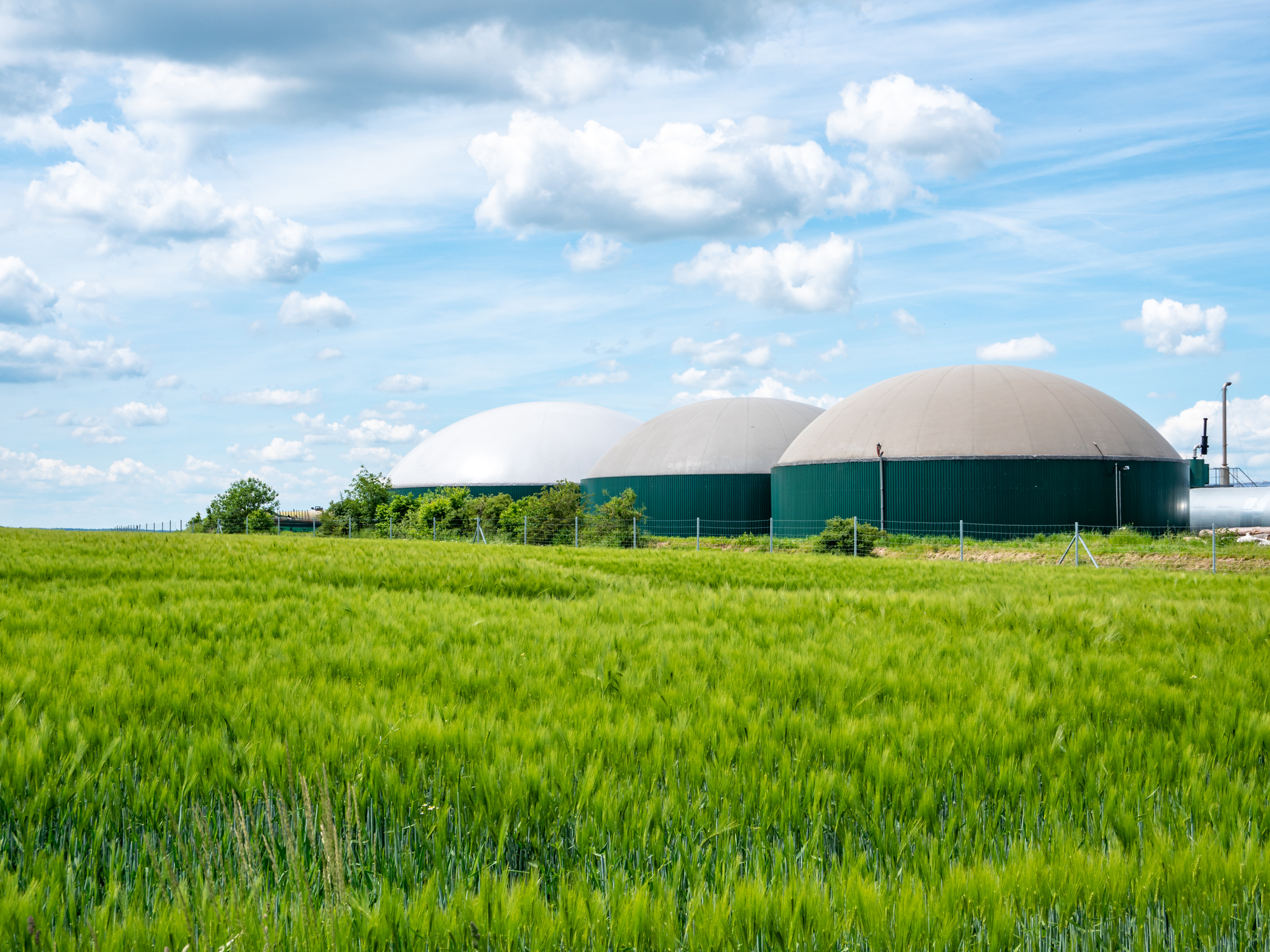 Biogas: trash or treasure? | Energy Networks Australia